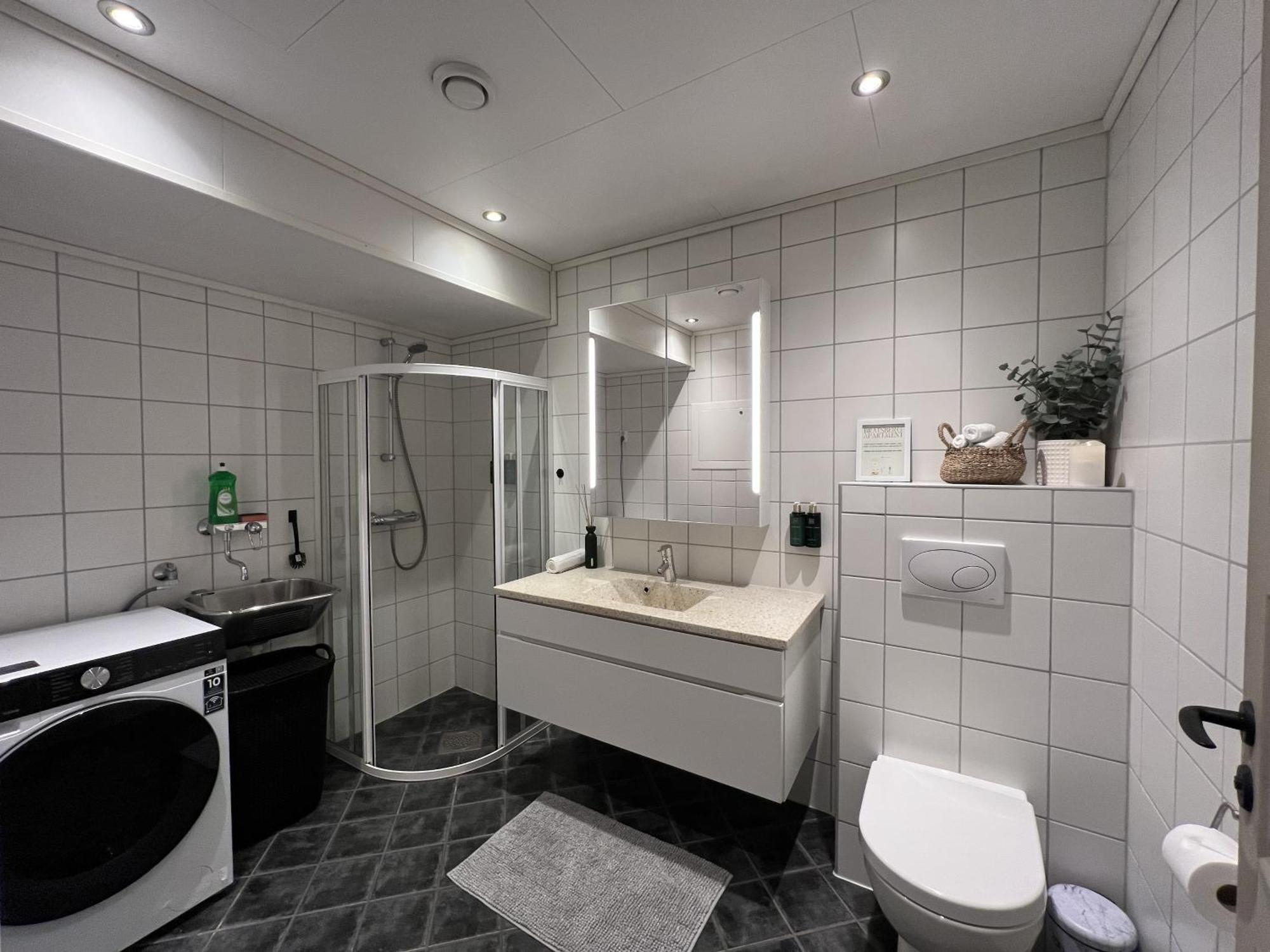 Bratsberg Apartment - With Kitchenette And Free Parking Тронгейм Екстер'єр фото